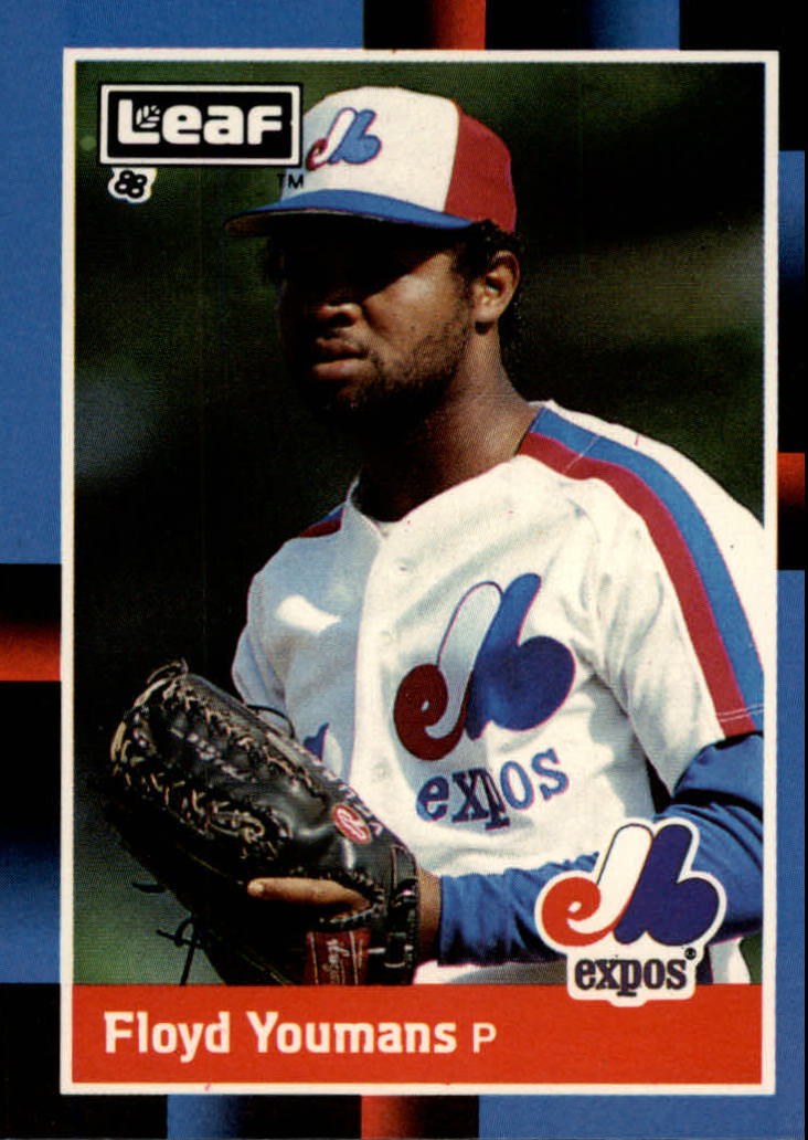 1988 Leaf/Donruss Baseball Cards       066      Floyd Youmans